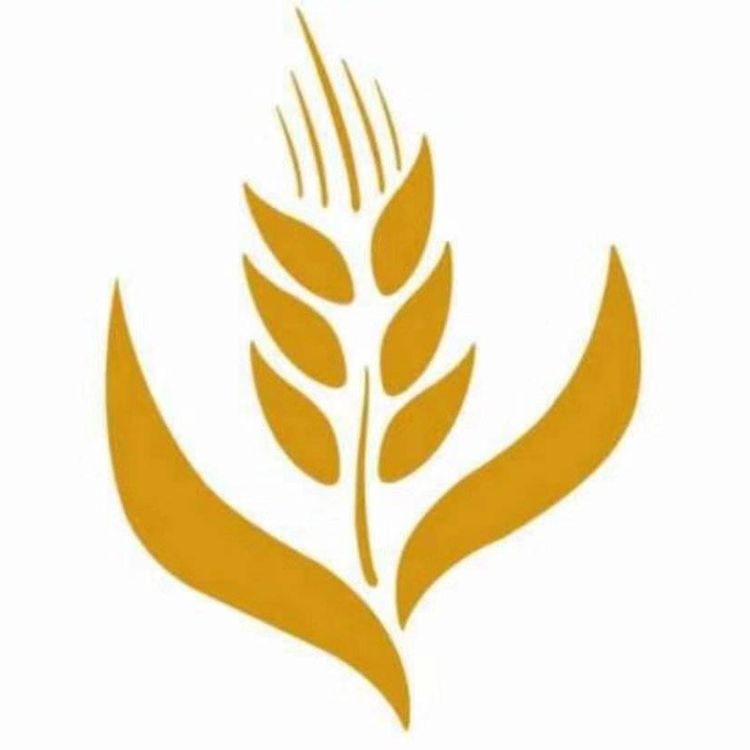 首页-温州全麦网络科技有限公司