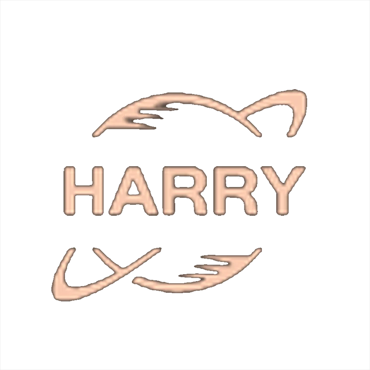 Harry技术