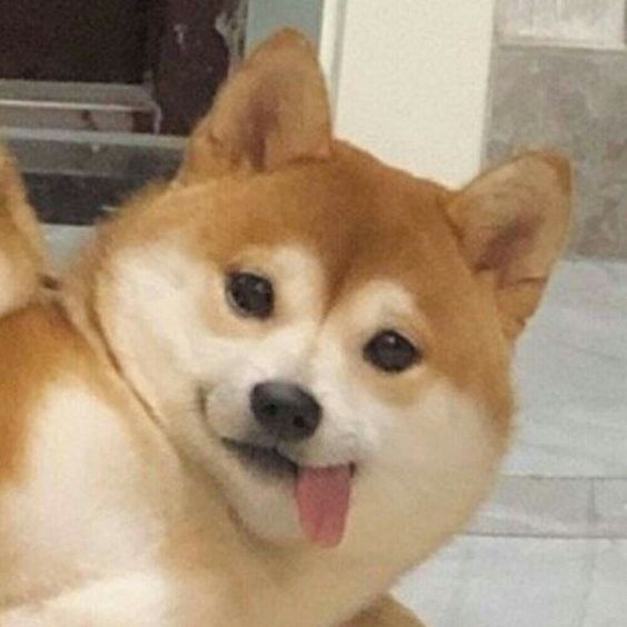 个人工具开发