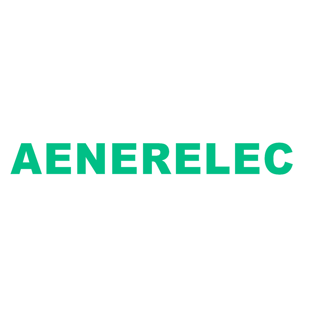 AENERELEC(changzhou)Co.,Ltd|艾耐电气（常州）有限公司|高压低无功补偿|谐波治理|智能母线测温