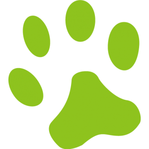 Crazypaws Pet Products – A better choice for your lovely pet.