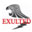 Home_NINGBO EXULTED EAGLES TRADING CO.,LTD.