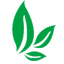 正山堂茶业|普安红茶|贵州茶叶公司就找贵州正山堂普安红茶业有限责任公司