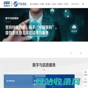 中国系统_数字与信息服务提供商