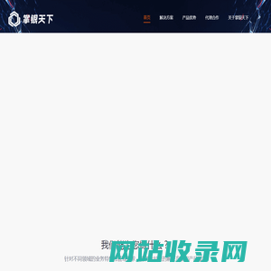 掌银天下 国内领先软件开发商 以专业、优质的服务，助力客户提升数字化水平