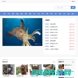 西宠网_最专业的养宠技巧都在这