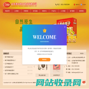 泰山瓜子,山东泰山旭日食品有限公司