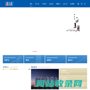 广东三正集团有限公司网站