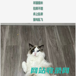 坏猫Timi的网站