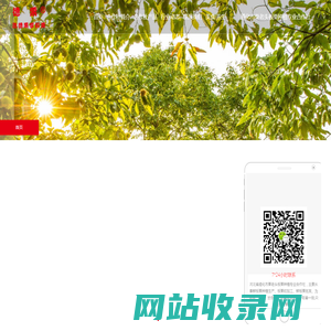 鲜板栗_鲜板栗价格_鲜板栗批发-遵化市栗老头板栗种植专业合作社