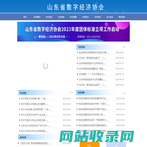山东省数字经济协会