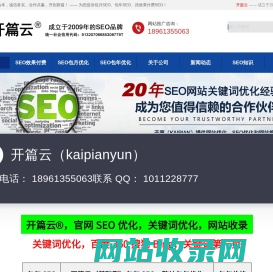 关键词优化_关键词排名_SEO优化-开篇云