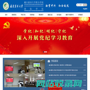 戴尔豪西大学联合学院（国际学院）