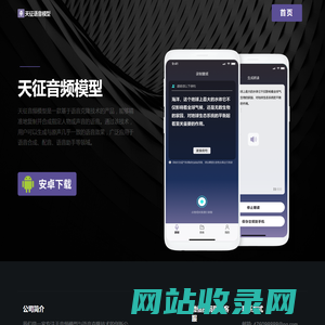 天征音频模型