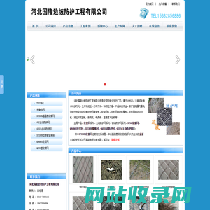 绞索网_布鲁克网_钛克网_主动防护网_蜘蛛网_河北国隆边坡防护工程有限公司