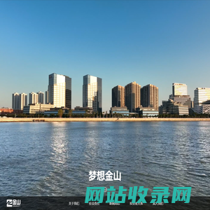 KINGSOFT 金山