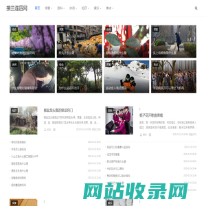 接三连四网