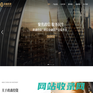 政鑫投资