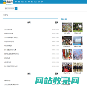 虎啸风生网