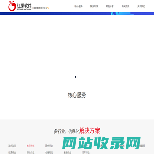 深圳市红果软件有限公司--信息化建设开拓者