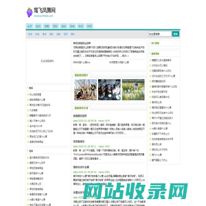 鸾飞凤舞网