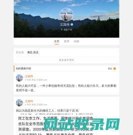 王国伟 - 不就是个玩
