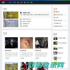 灭门绝户网