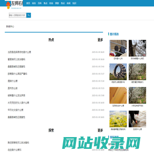 左拥右抱网