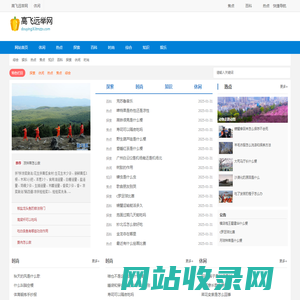 高飞远举网