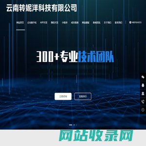 互联网营销_信息流广告_小程序APP开发-云南转妮洋科技有限公司