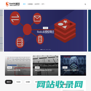 RadeBit瑞安全 -  致力于网络信息安全