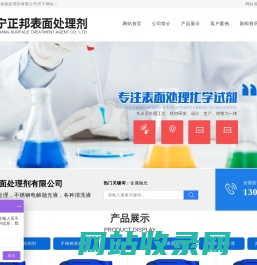 济宁正邦表面处理剂有限公司