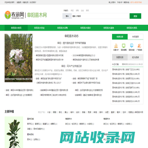 阜阳苗木_阜阳苗木基地_4月阜阳苗木价格_阜阳苗木网-农苗网