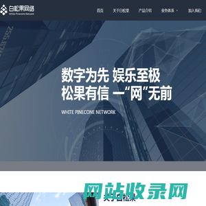 白松果网络