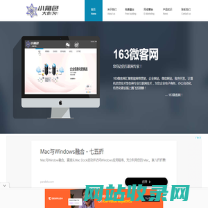 163微客网-网站、小程序定制开发及营销服务