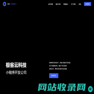 广州小程序开发公司_小程序定制开发_APP开发 | 极客云