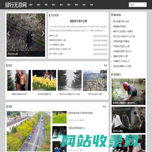 肆行无忌网