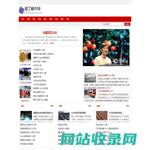 庖丁解牛网