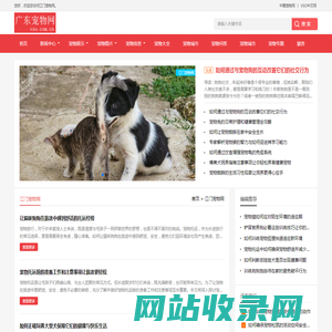 中宠网 - 江门宠物网