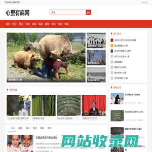 心里有底网
