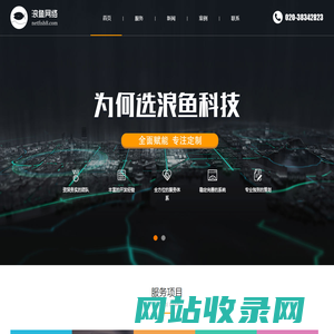 广州浪鱼网络科技有限公司 - 广州8年专业网站建设小程序制作设计,做开发就找浪鱼网络