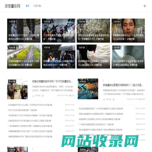 浓墨重彩网