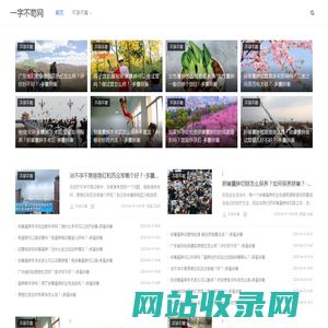一字不苟网