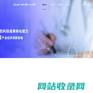 武创大智高新技术集团
