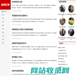 骑虎难下网