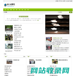 诚心诚意网