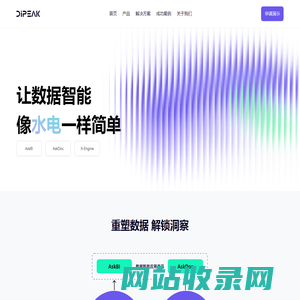 数巅科技 - 业界领先的企业大模型数据智能产品提供商