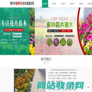 青州时令草花、宿根花卉及绿化苗木等花卉苗木供应_青州市春琳花卉苗木家庭农场