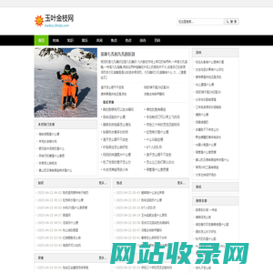 玉叶金枝网