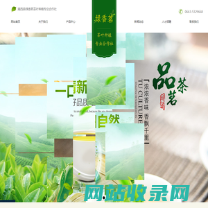 揭西县绿香茗茶叶种植专业合作社_其它